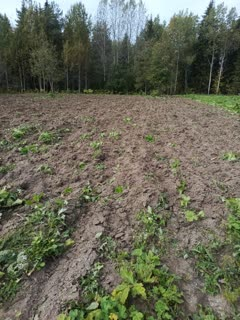 Земельный участок, 20.85 сот.